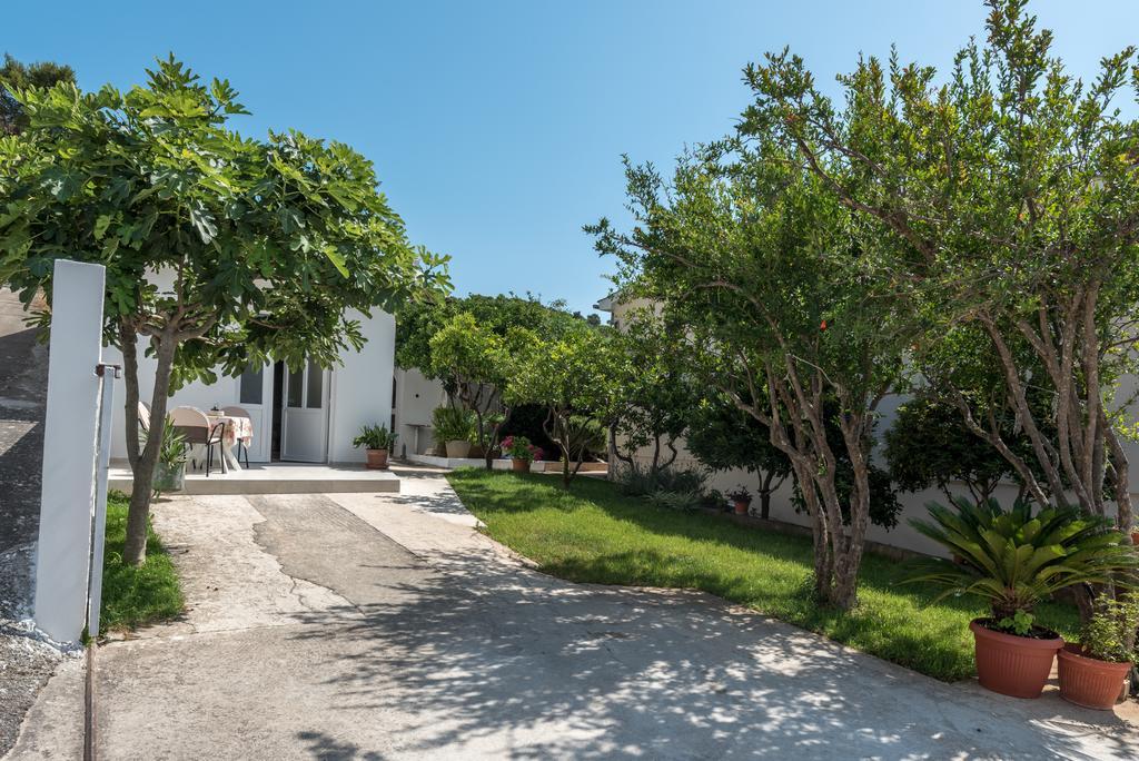 טרוגיר Apartments Coce מראה חיצוני תמונה